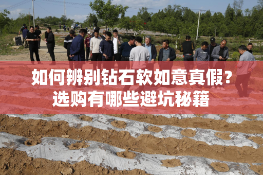 如何辨别钻石软如意真假？选购有哪些避坑秘籍